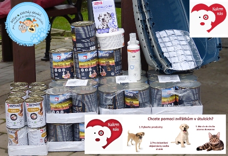 Městský útulek pro toulavá a opuštěná zvířata Děčín